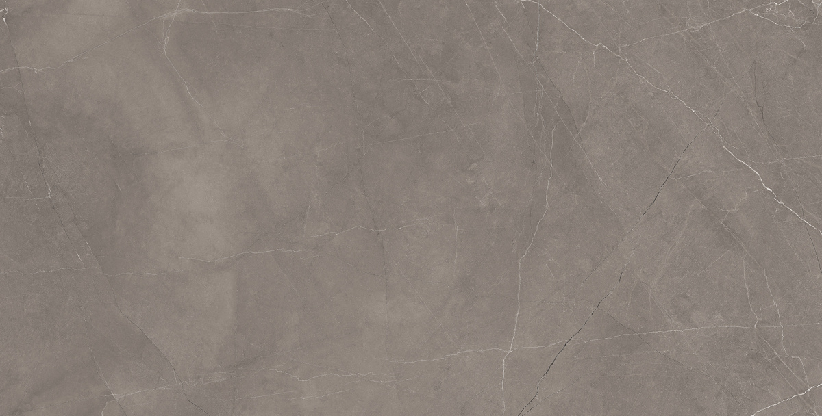 Splash Grey серый 60х120 Laparet
