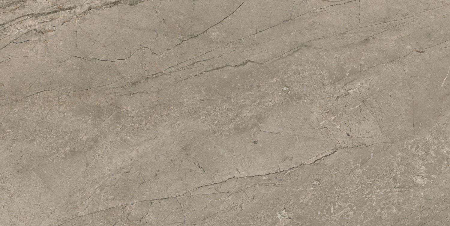610015000666 Forte dei Marmi Mystic Grey Lapp 80x160 Atlas Concorde Russia