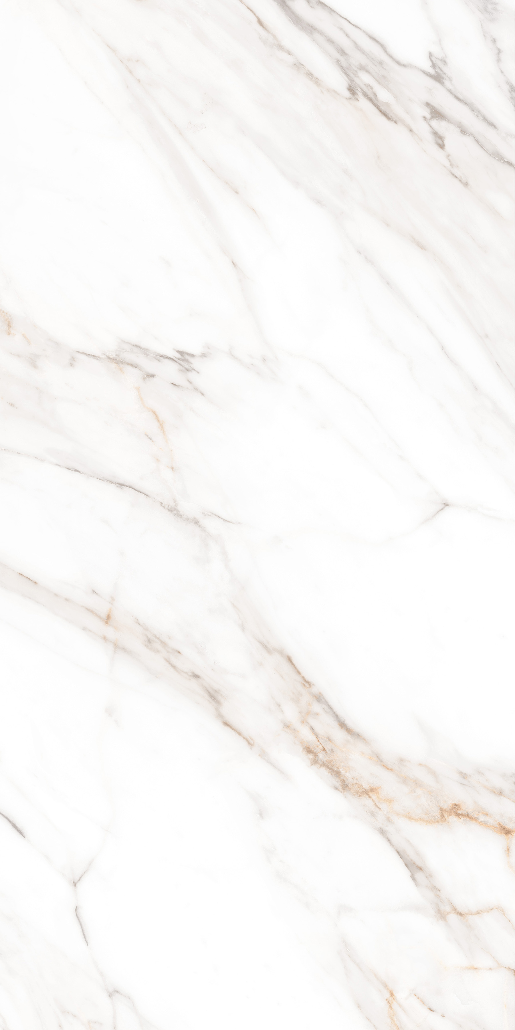 MPL-058631 Calacatta Gold Polished 60x120 Creto