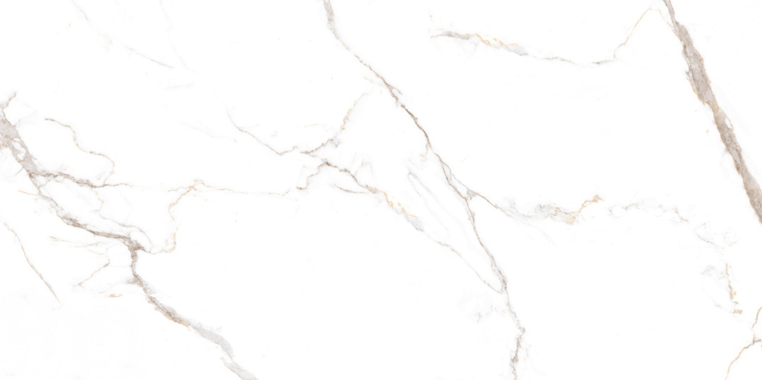 NTT9122M Barbara White Mat 60x120 NT Ceramic фото 2