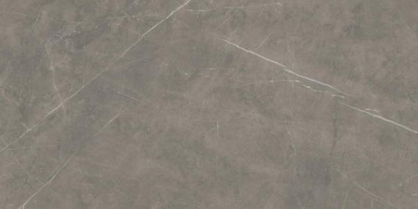 Tessino Grey Pulido 60x120 Benadresa