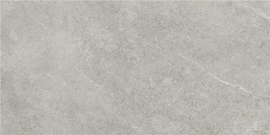 CAN5AREIDD1A Arenite Grey MT 60x120 STN Ceramica