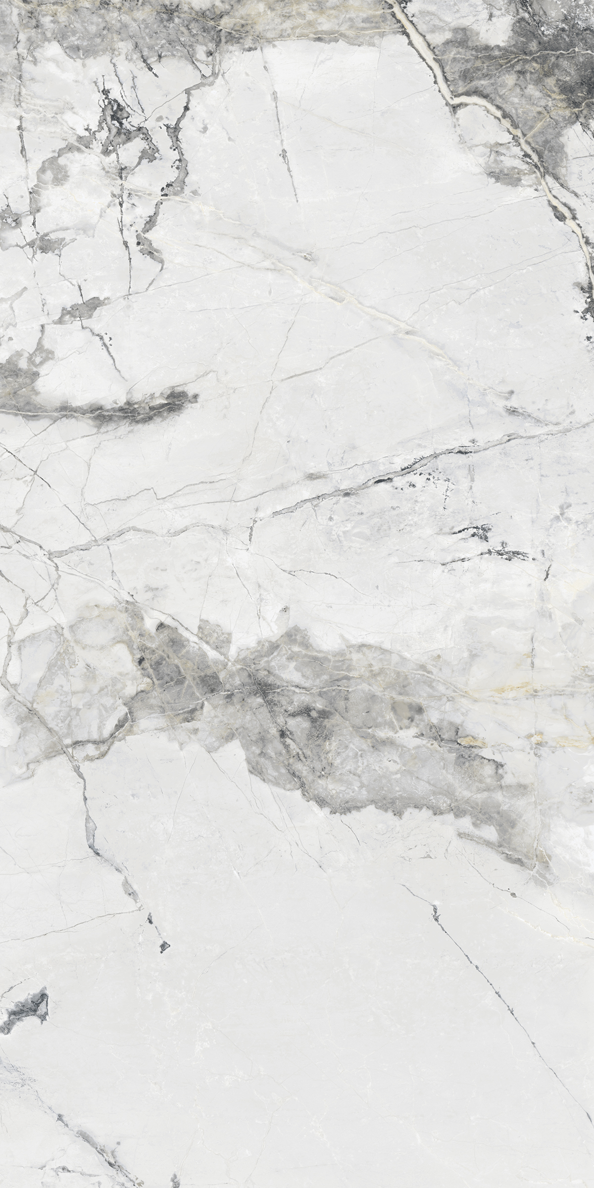 901 SVPL 6050 120x60 Artcer