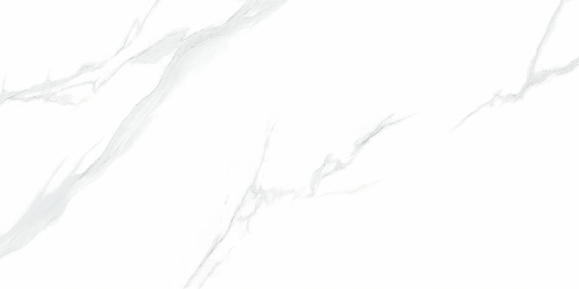 NTT9106P Statuario 60x120 NT Ceramic