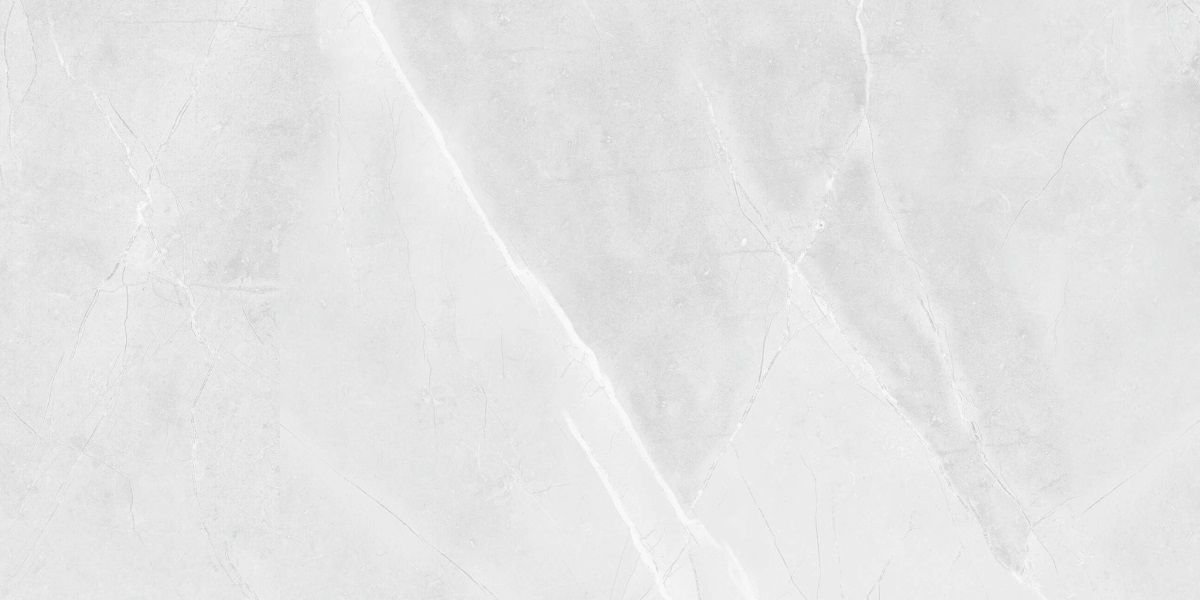 R_PR2015 Floris Bianco Polished 60x120 Royce