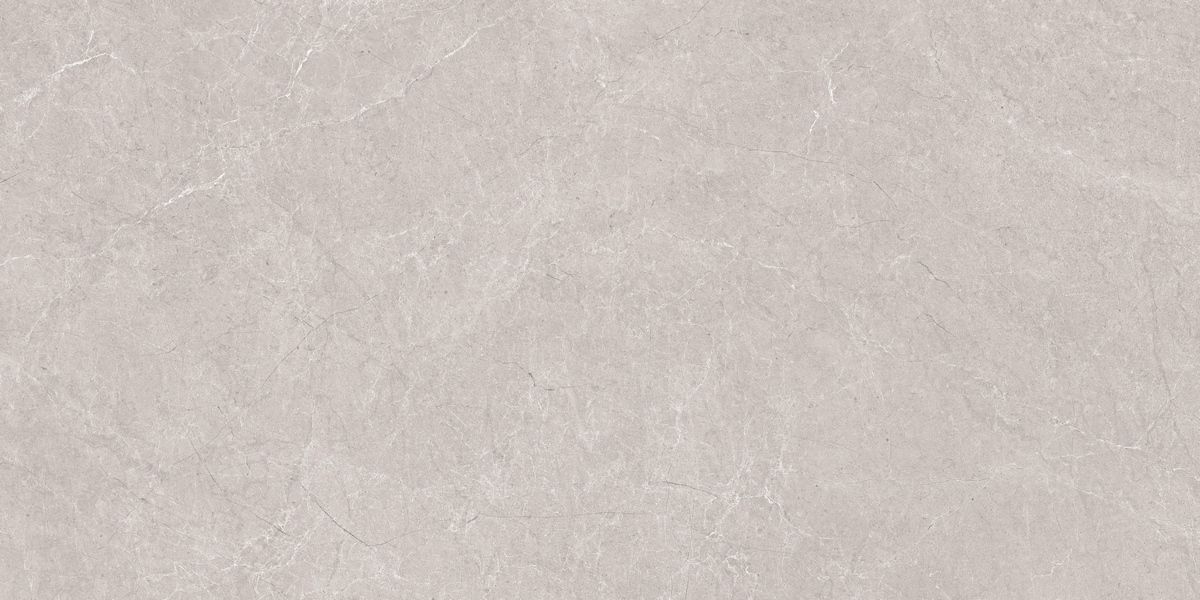 N20555 Aristo Grey Tm 60x120 Neodom