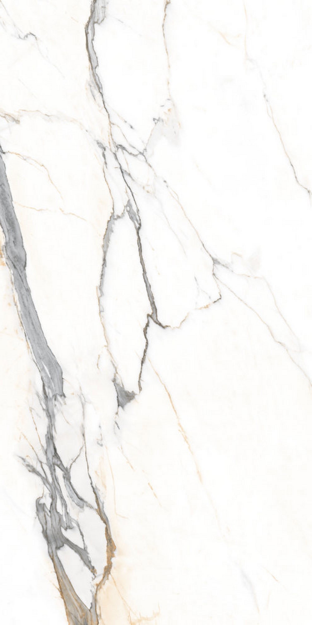 GT120604103MGR Statuario Elite Белый граниль 60x120 Global Tile