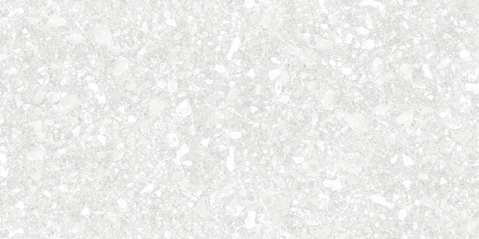 D12041M Turin Light 1200x600x9.5 Delacora