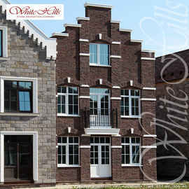 531-80 Ленстер 40x20 White Hills