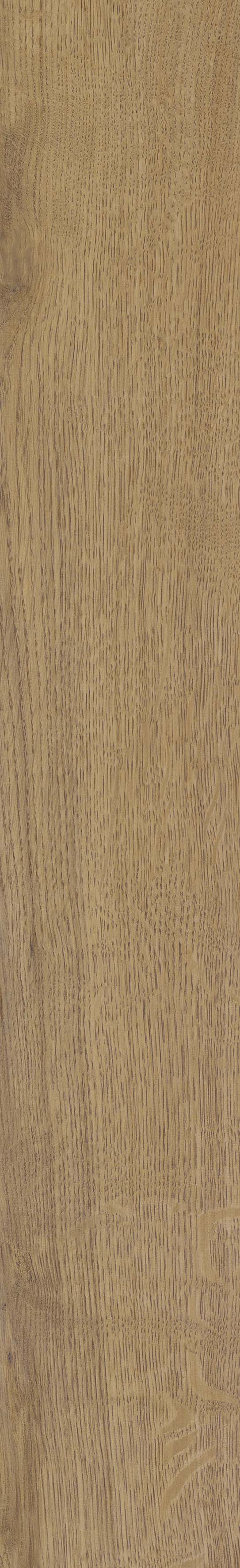 SGR51 Velaris Honey 9.2x60 Stargres фото 4