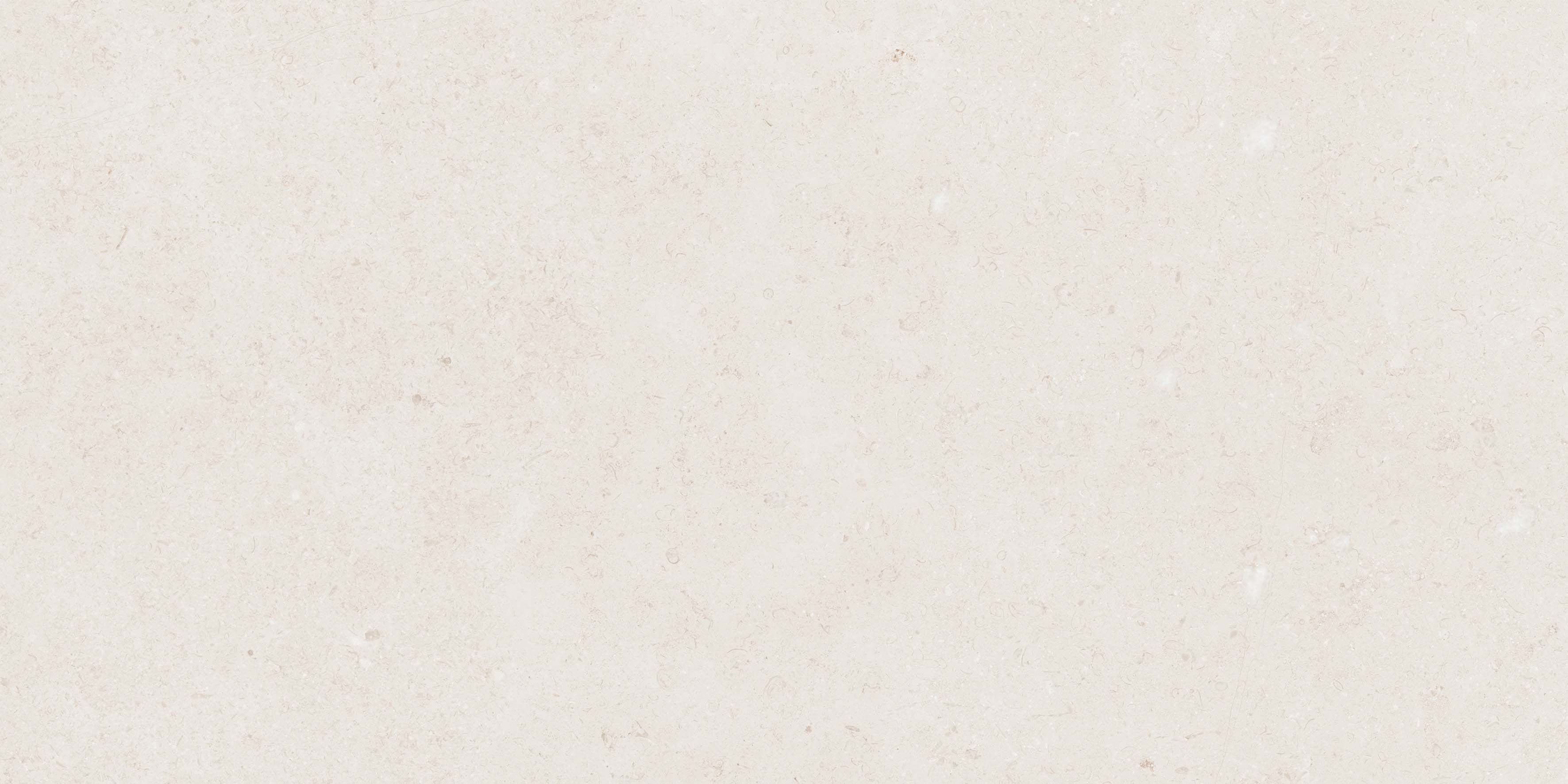 Mistic Light Grey Gloss 60x120 Realistik