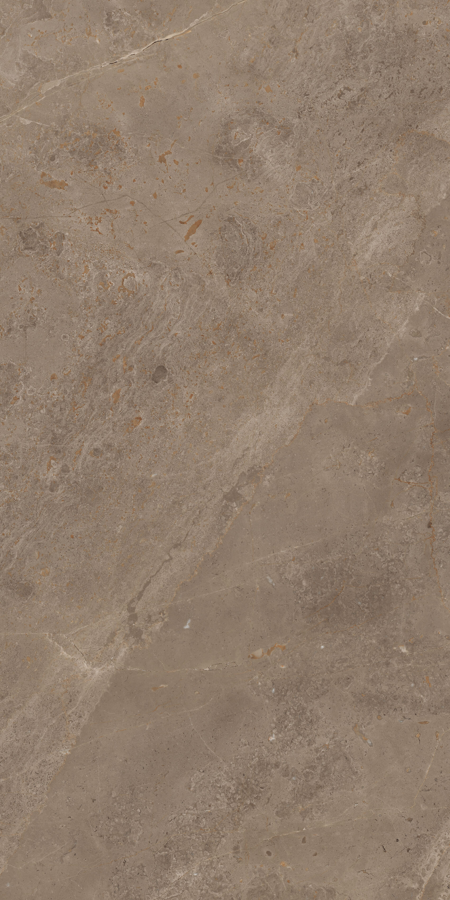914 Luish Brown 120x60 Artcer