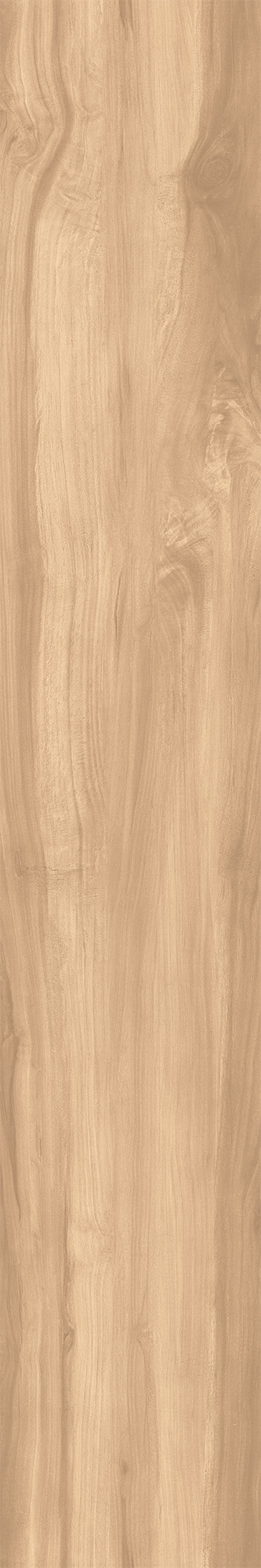CW-RT09-B Fossil Wood Brich Rustic 20x120 Creanza
