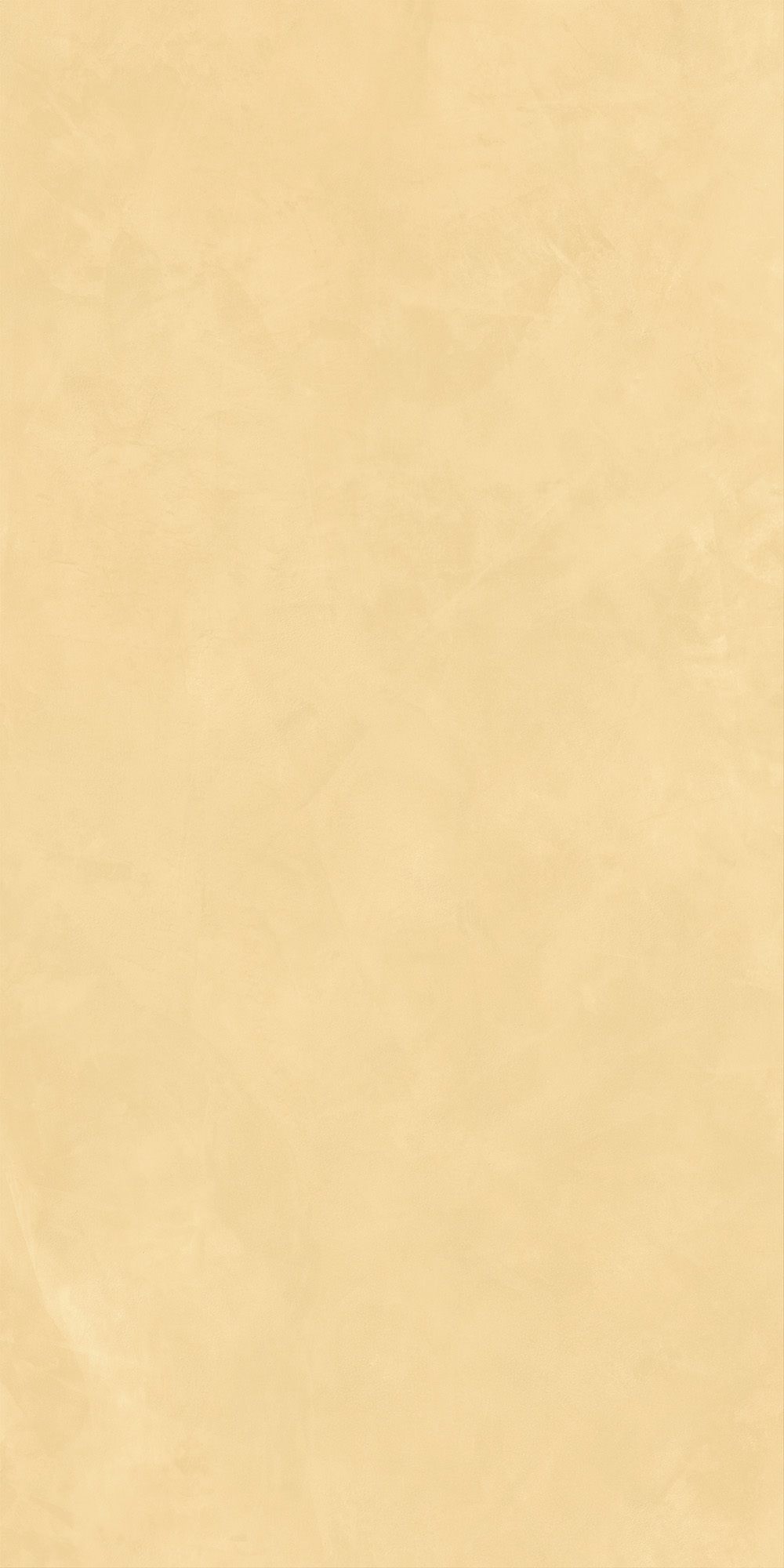 AHEE Join Mango Soft 60x120 Caesar