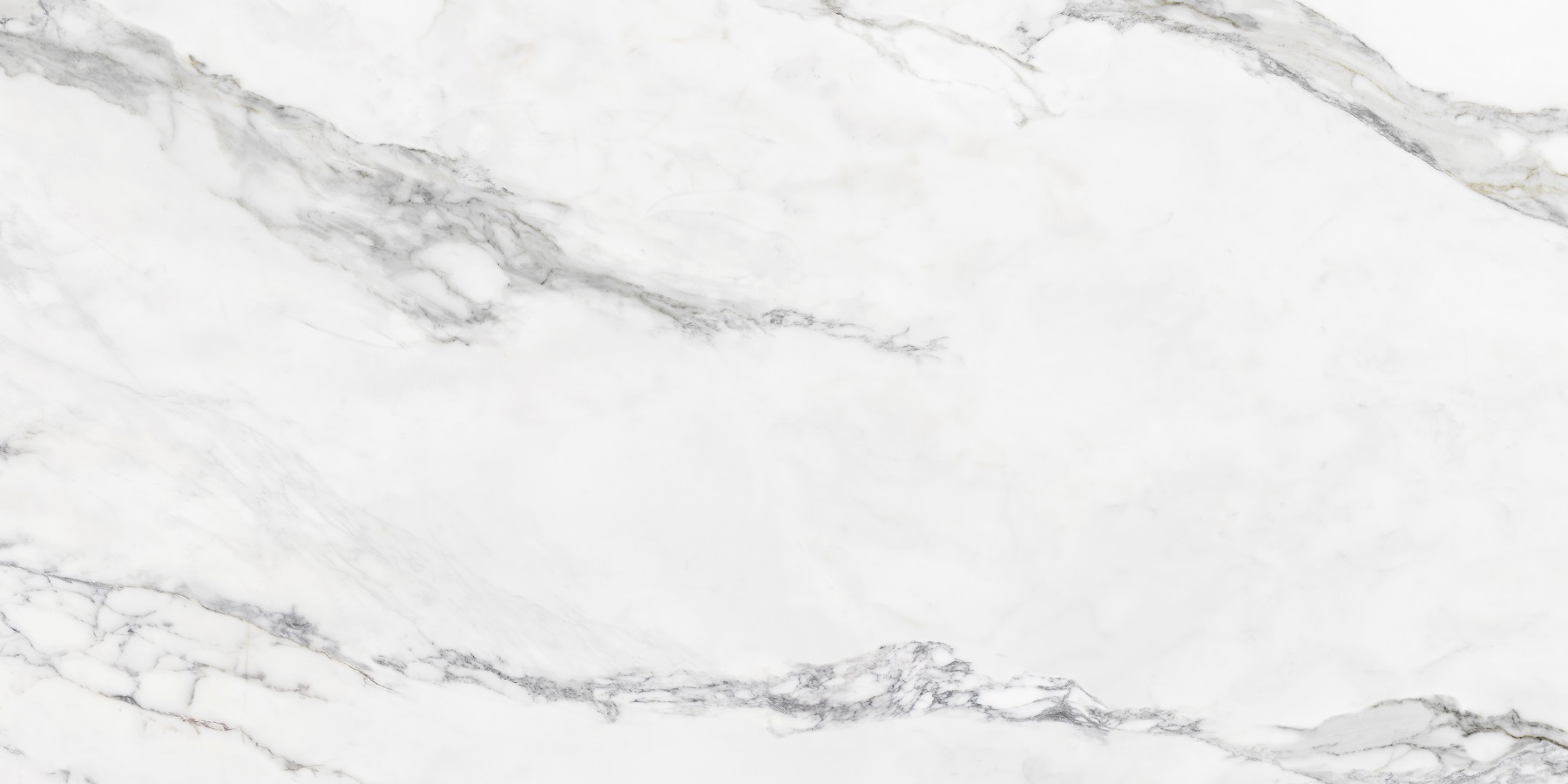 Insignia White Pulido 60x120 Colorker