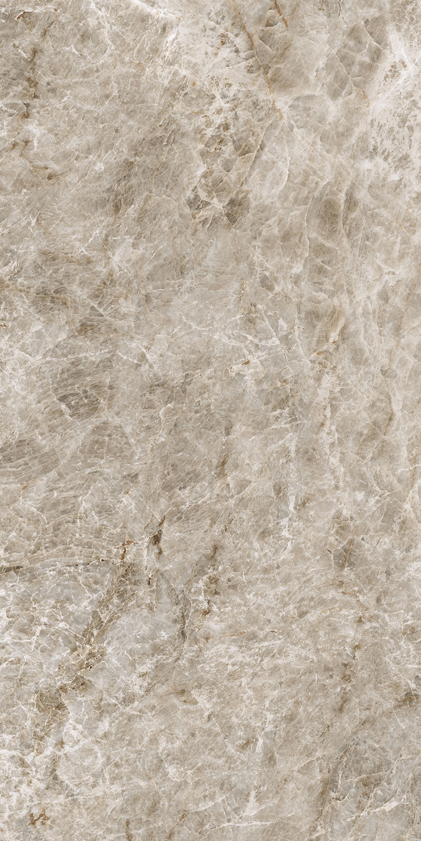 784555 Iconic Life Opal Yamuna Glossy 30x60 Cerim фото 12