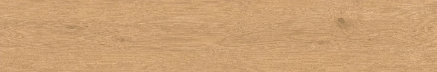 A842 Entice Pale Oak Natural Grip R11 20x120 Atlas Concorde