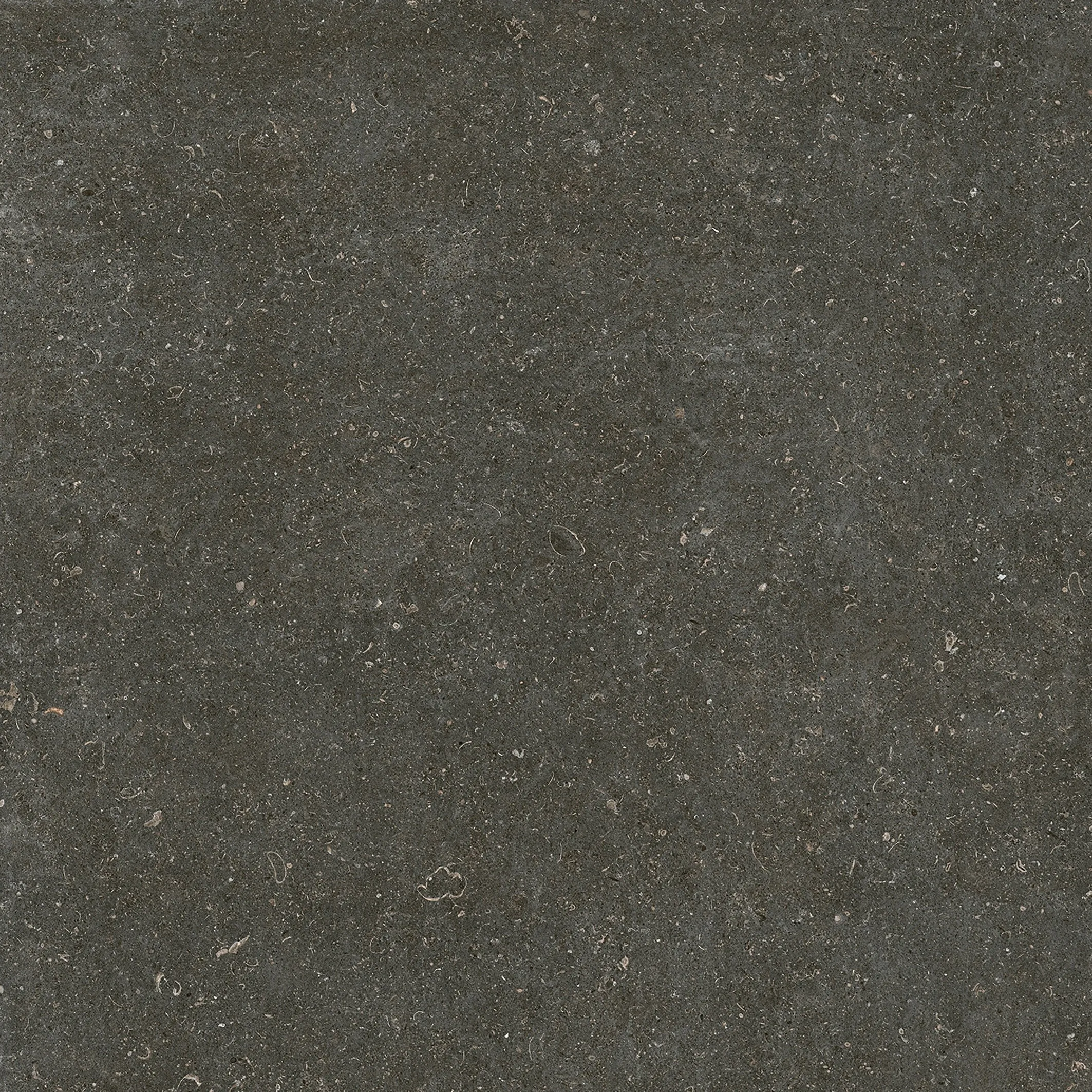 785581 Rinascenza Arena Platino Matte 6mm 120x120 Casa Dolce Casa