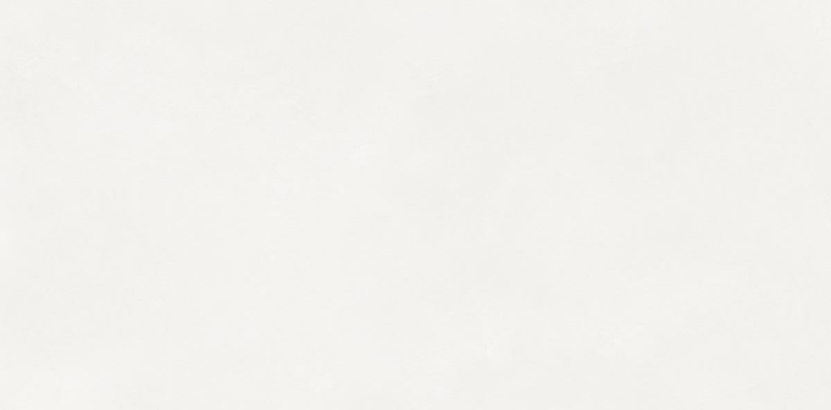 N110011 Aston White Matt 60x120 Neodom фото 4