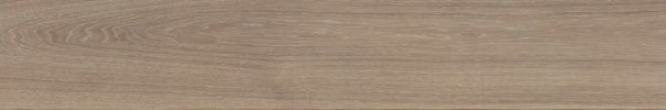 V52500081 Minnesota Camel 25x150 Venis