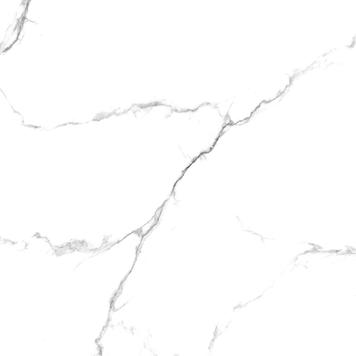R_PR1001 Calacatta Venatino Polished 60x60 Royce
