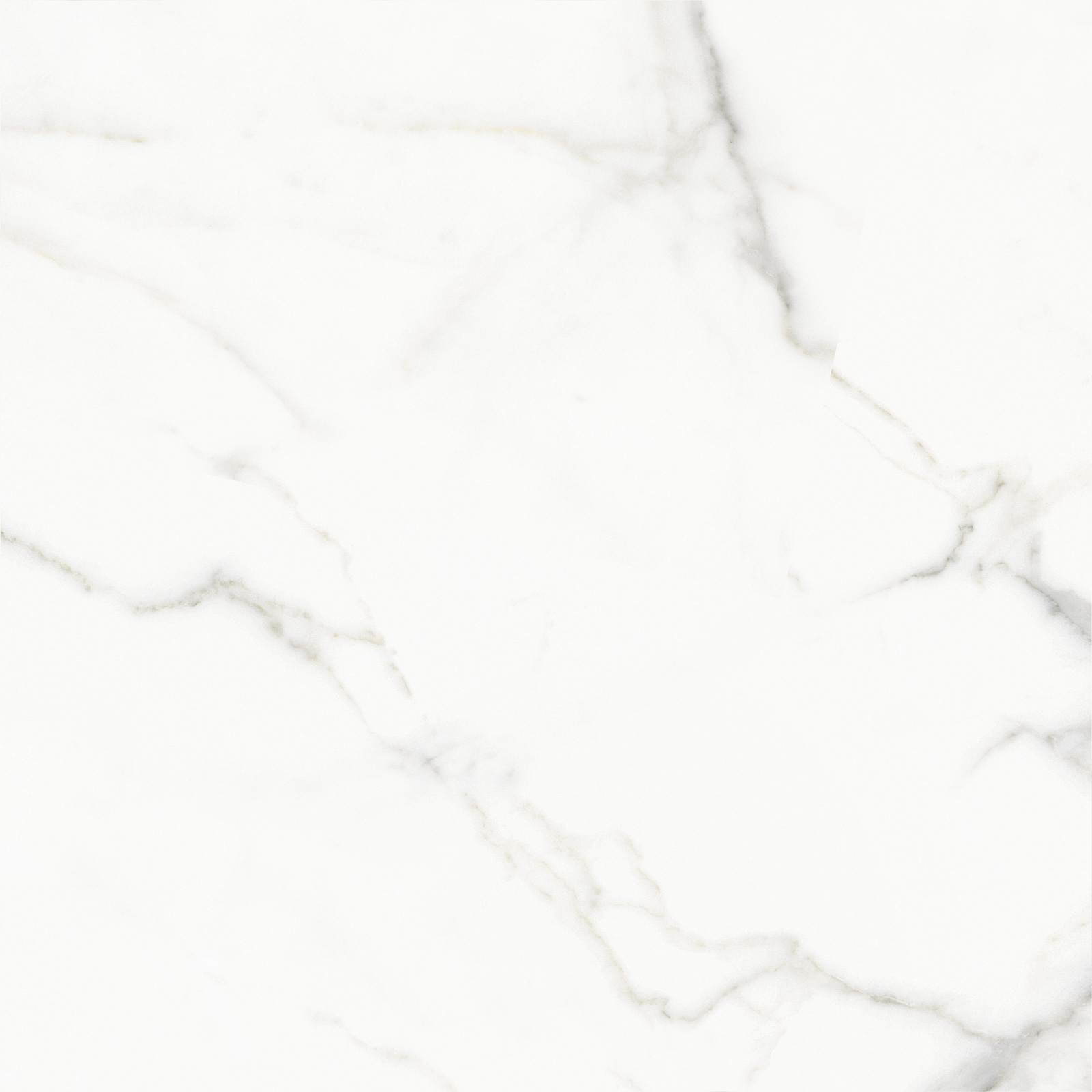 6060CLL15 Calacatta Lincoln Sugar 600x600x9.5 Delacora