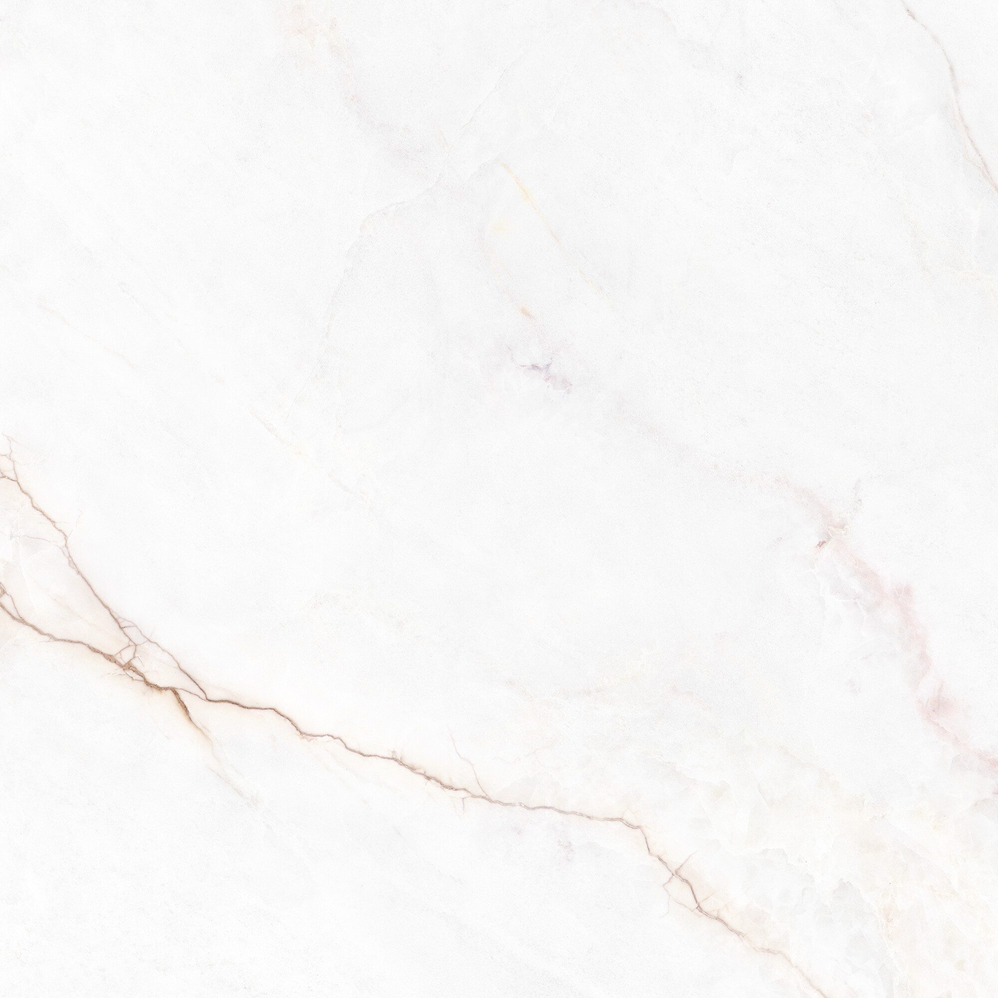 41431 Dahlia White SP/100X100X0,8/R 100x100 Peronda фото 8