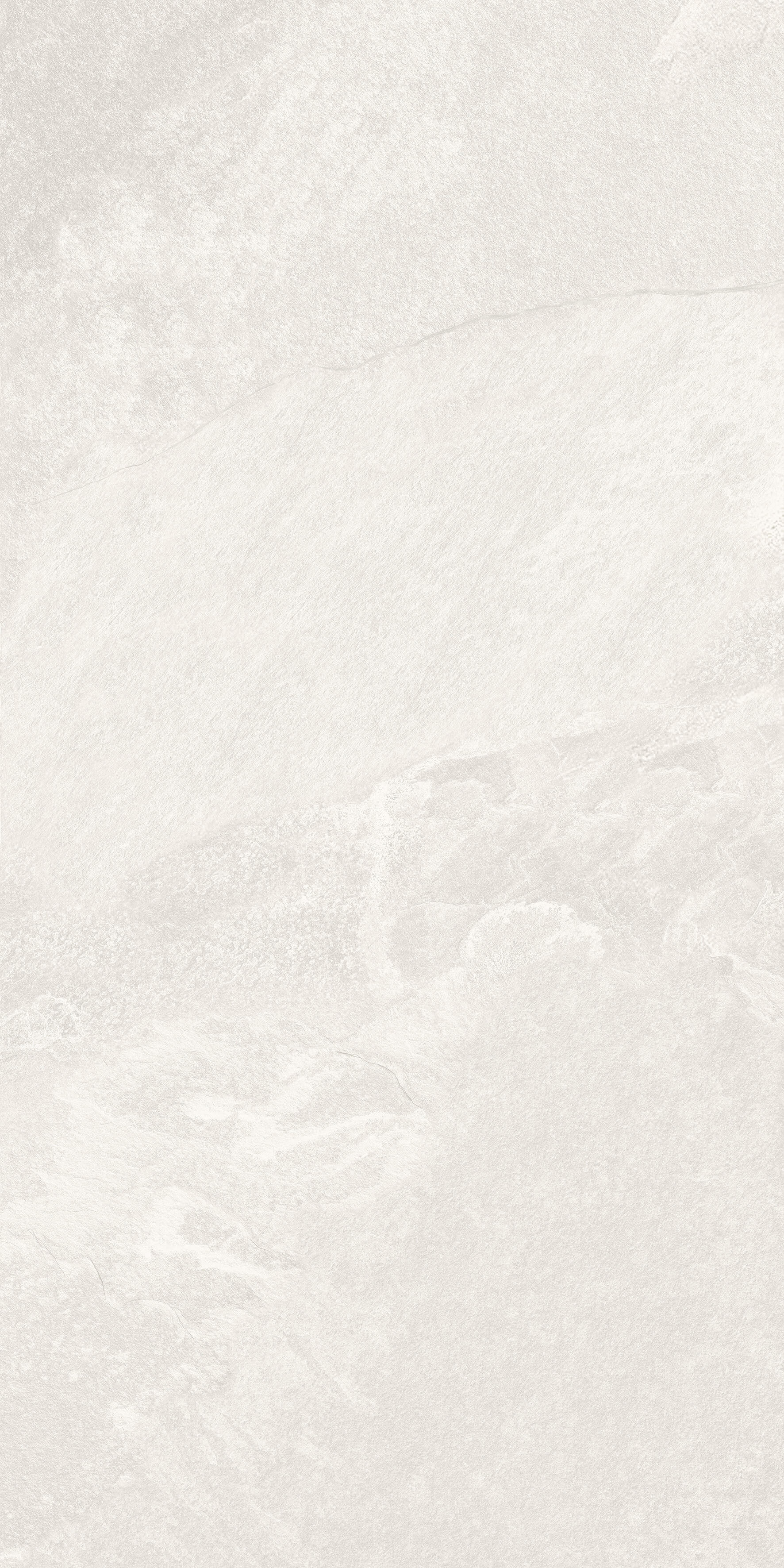 1206 Calcare White Matt 120x60 Artcer фото 4