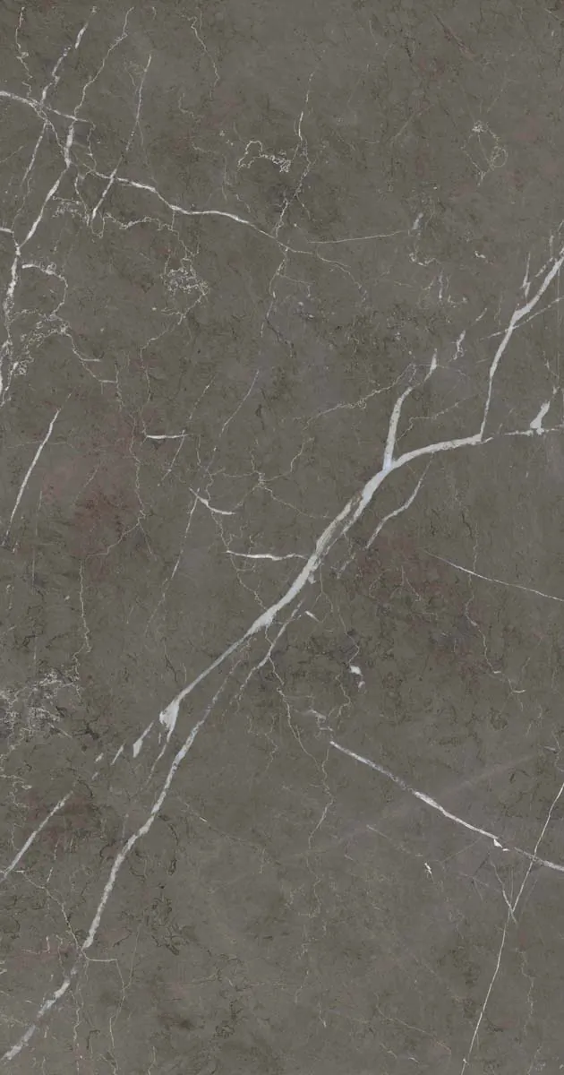 PF60006313 Stone Grey Lux R 60x120 ABK фото 2