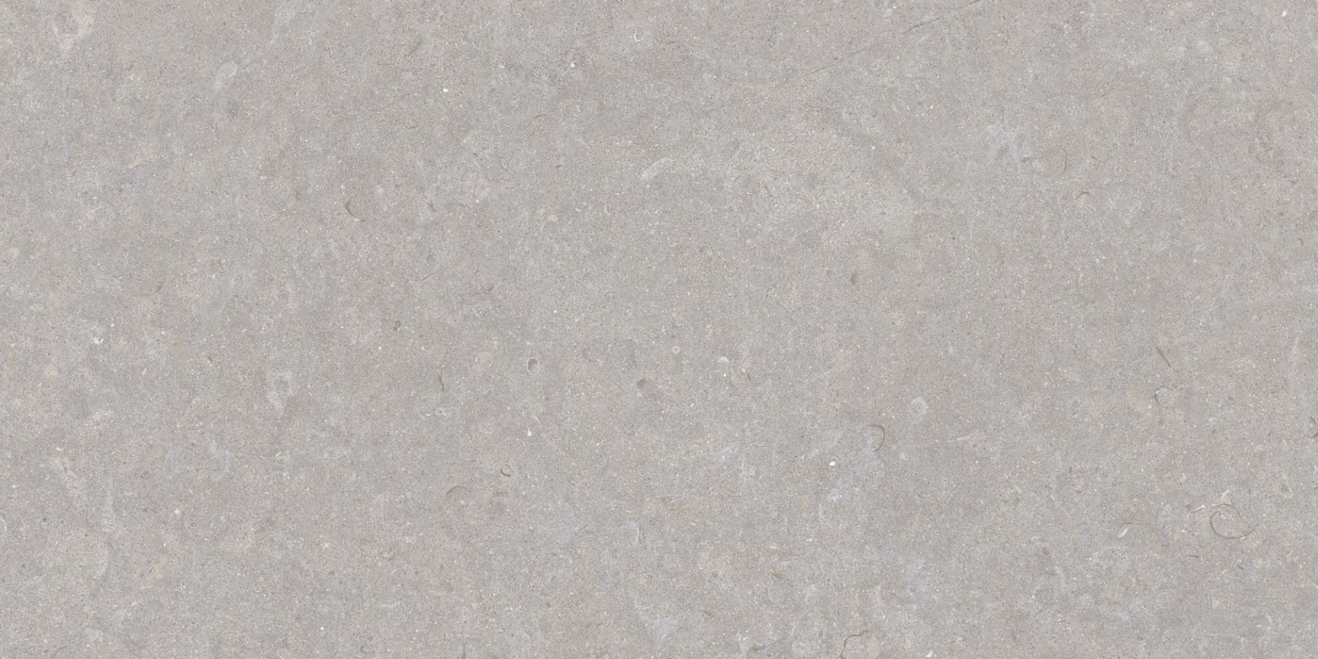 35568 Ghent Grey/50X100X2/A/R 50x100 Peronda фото 7