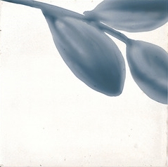M9JA Rice Bianco Decoro Blossom Lux 15х15 MARAZZI Italy