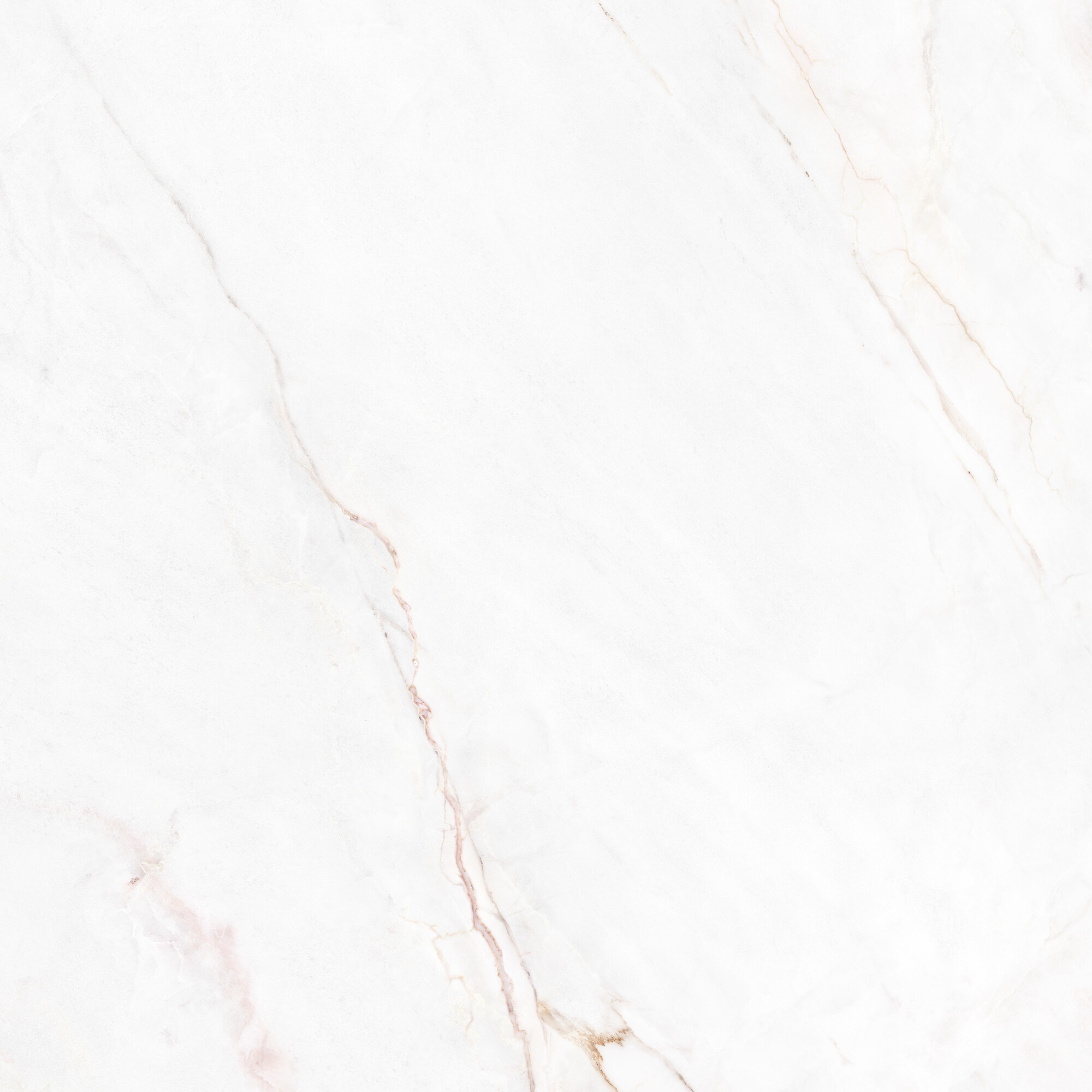 41431 Dahlia White SP/100X100X0,8/R 100x100 Peronda фото 17