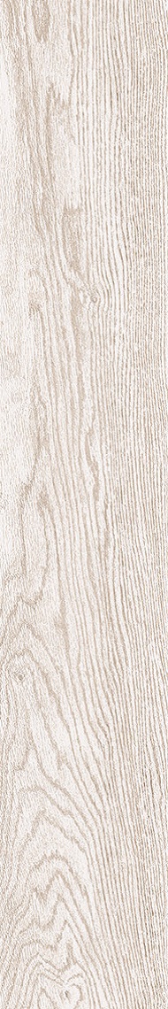 LEGNO 2012W RM 20x120 La Faenza