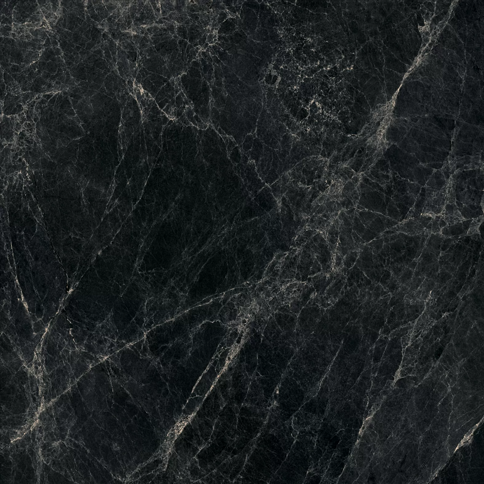 Worner Black sugar lapp. 60x60 Bluezone фото 16