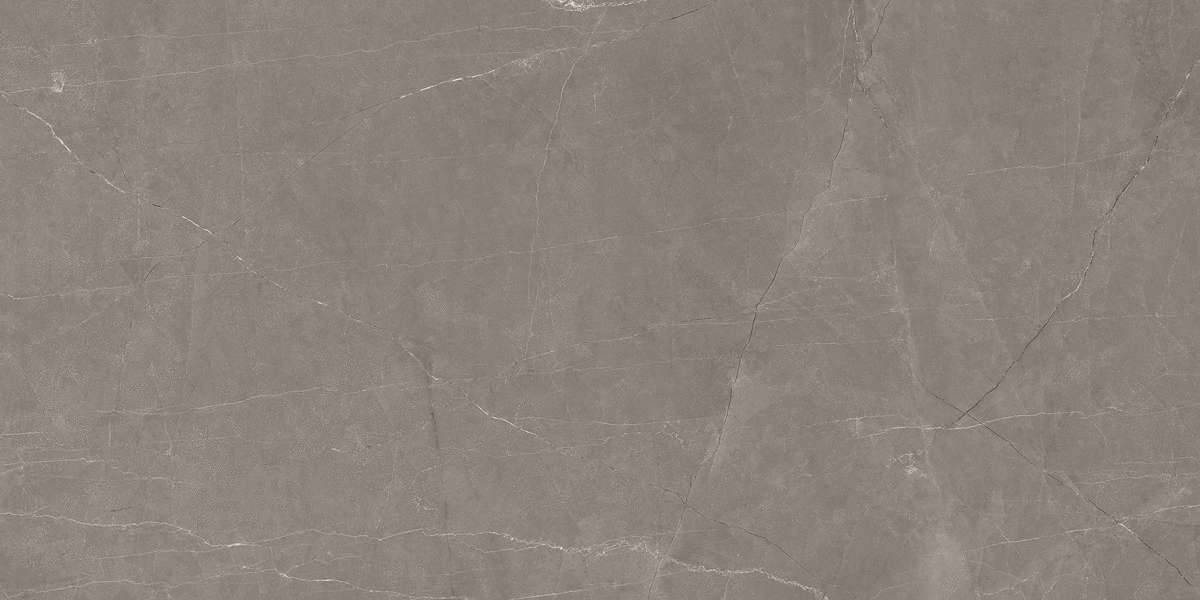 Stone Micado Grey Серый Полированный 60х120 Ceradim