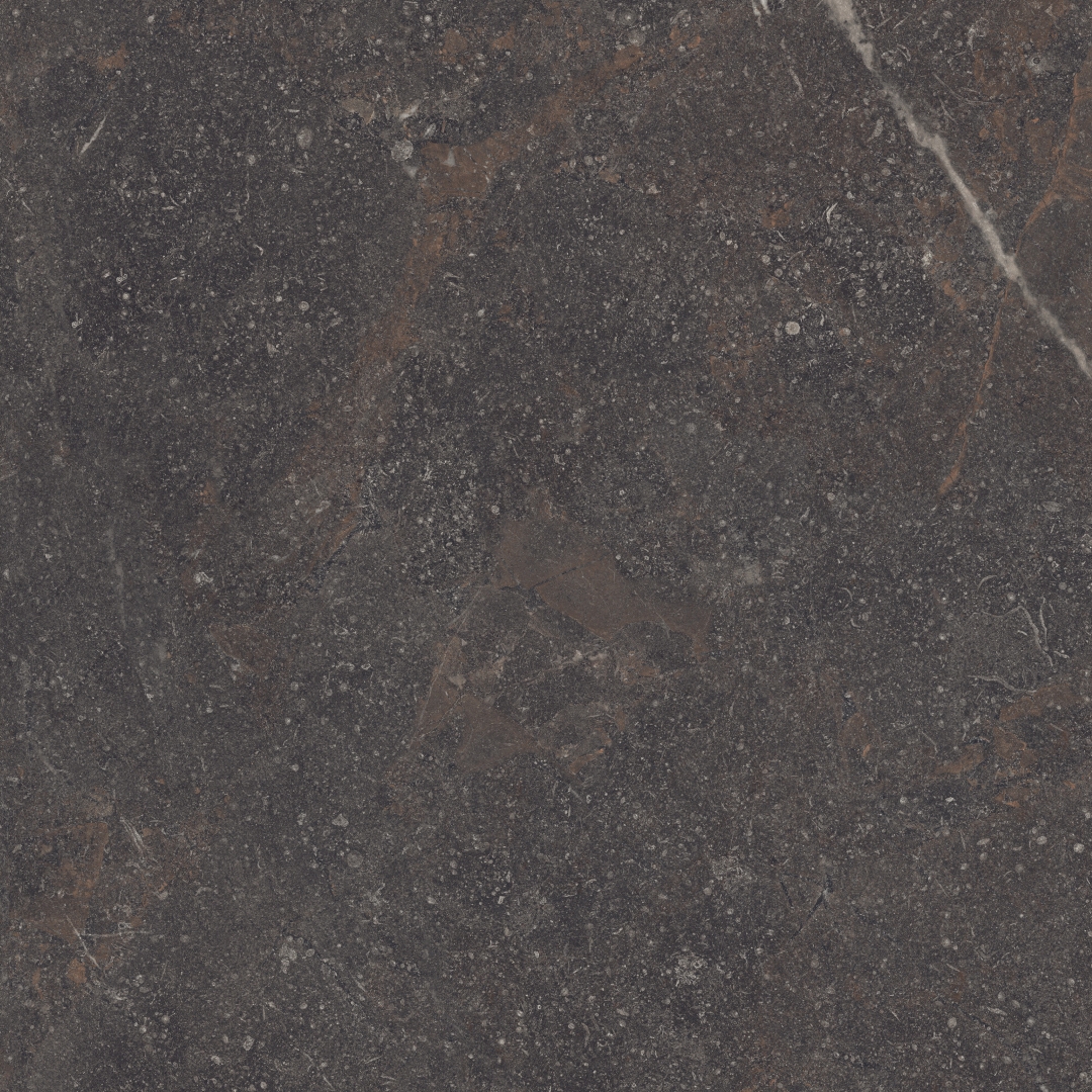 42819 Royal Brown/100X100X0,8/A/R 100x100 Peronda фото 11