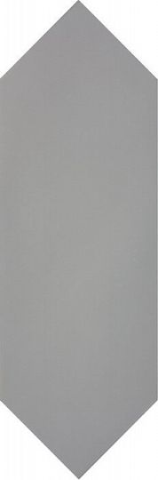 22989 Kite Dark Grey 10*30 EQUIPE