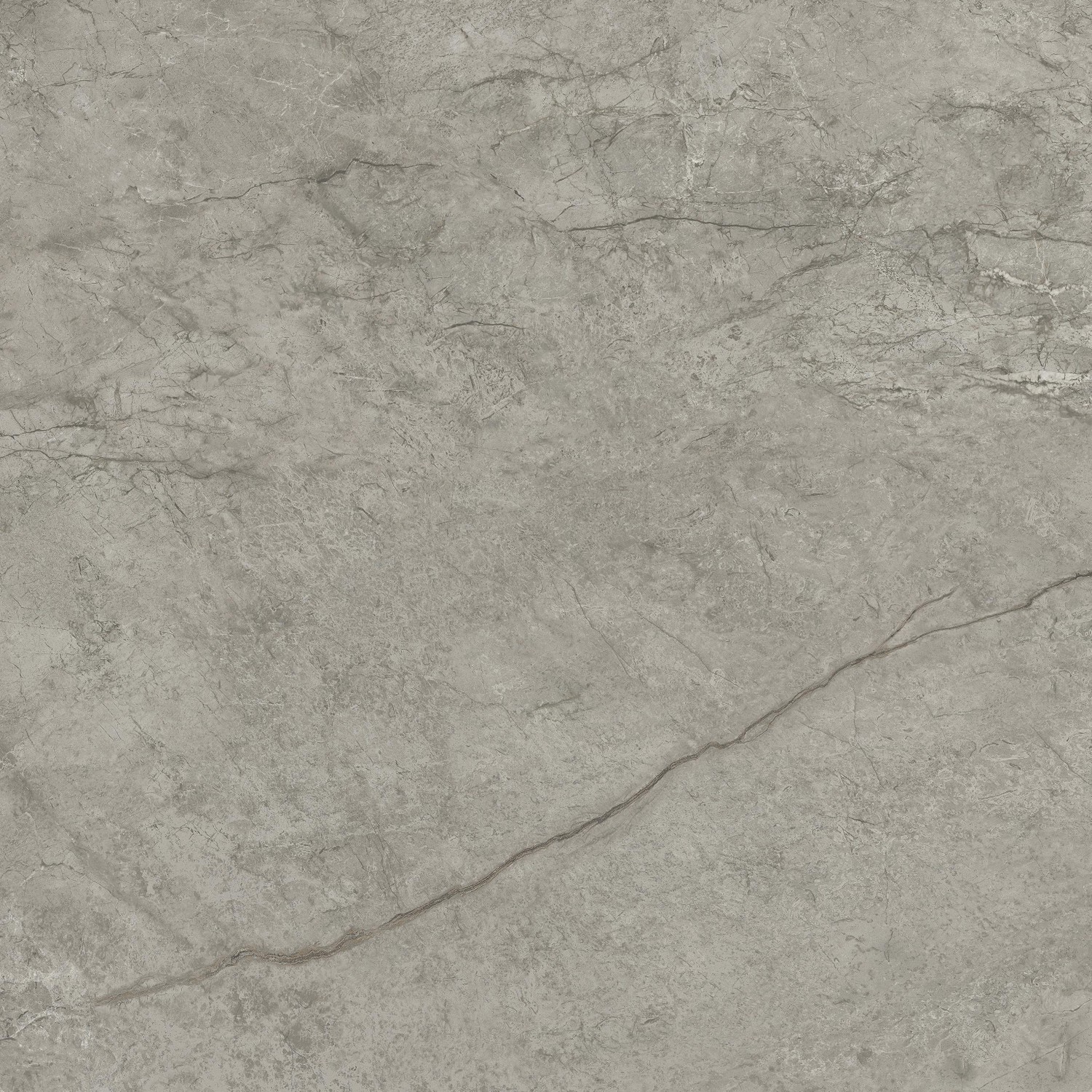 AJIK Marvel Meraviglia Silver Majestic Velvet 120x120 Atlas Concorde