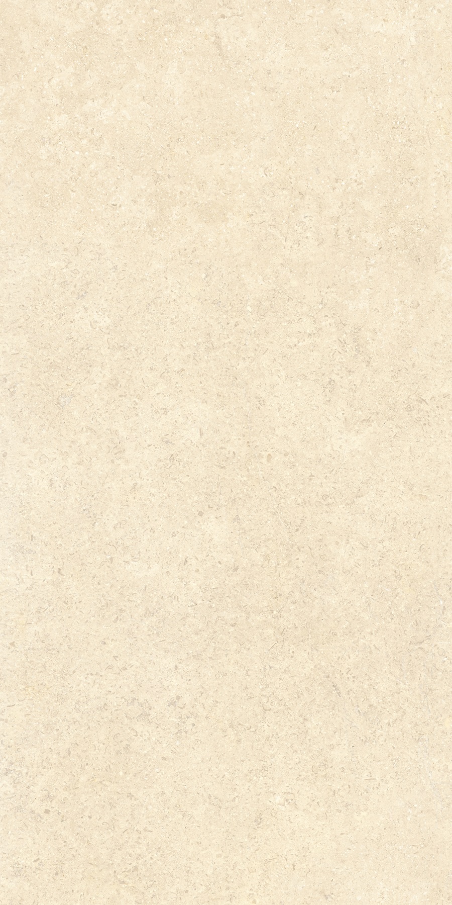 K948598R0001VTER SandStone Песочный Матовый R10A Ректификат 60х120 Vitra