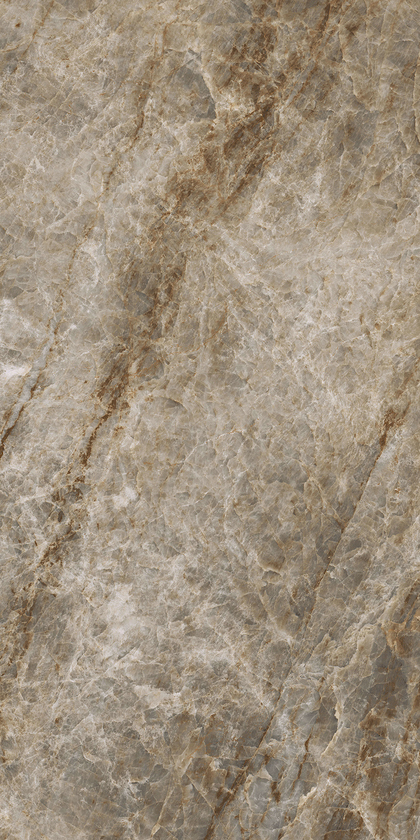 784556 Iconic Life Moka Yamuna Glossy 30x60 Cerim фото 4