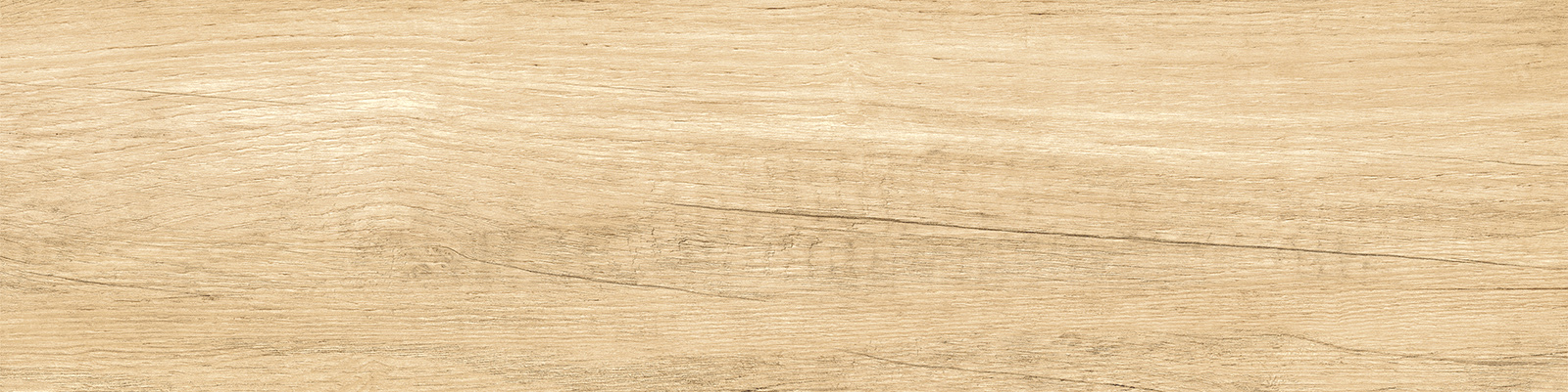 GP1560SAB11 Sunbau Oak Sugar 151x602 New Trend