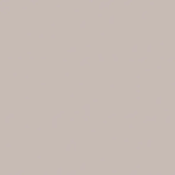 YC52 Your Color Grey Неполированный Рект. 60x60 Estima