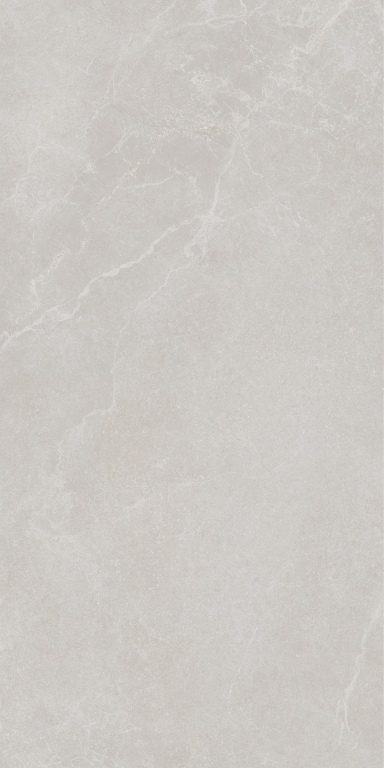 199002 Noble Stone Grey Nat Ret 60х120 Ava Ceramica