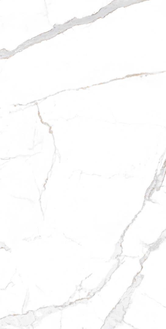 Statuario Brown Glossy 60x120 Modern Tile