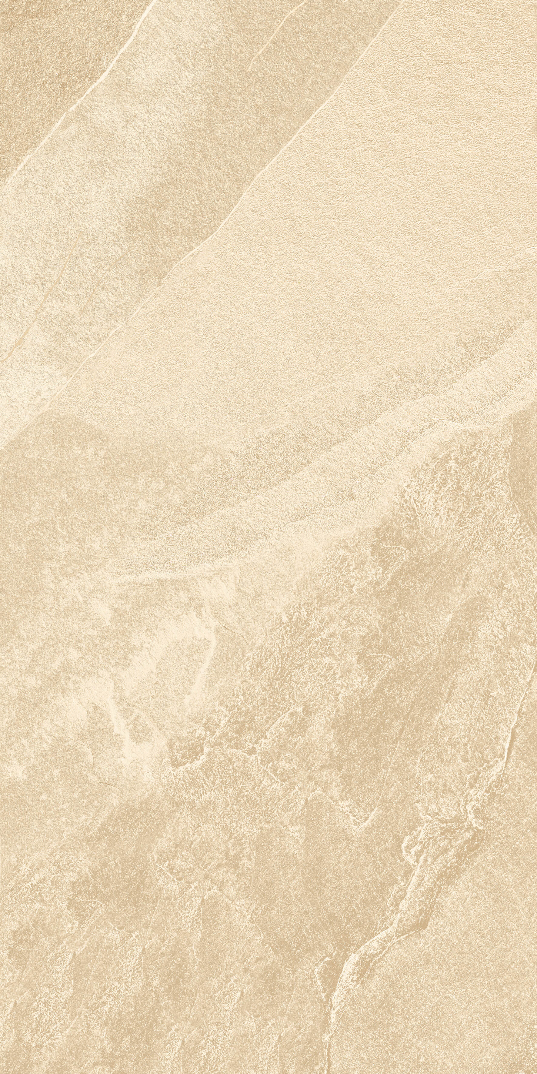 1209 Calcare Ivory Matt 120x60 Artcer фото 6