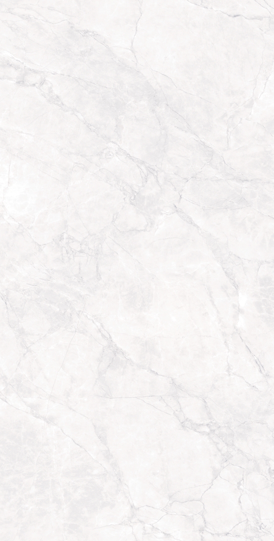 CR4007-A Arctic White Carving 60x120 Arcadia Ceramica