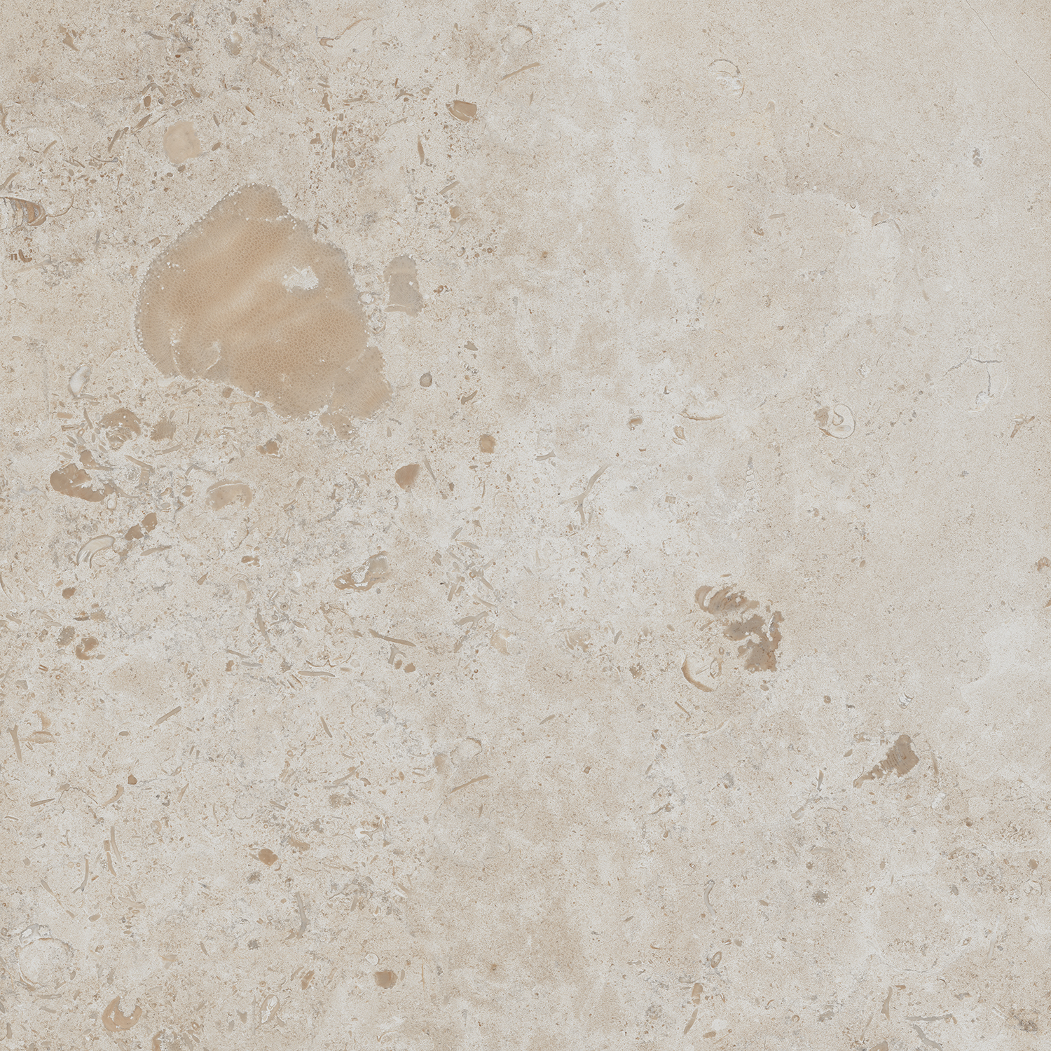 DD641120R Про Лаймстоун бежевый темный натуральный обрезной 60х60 Kerama Marazzi