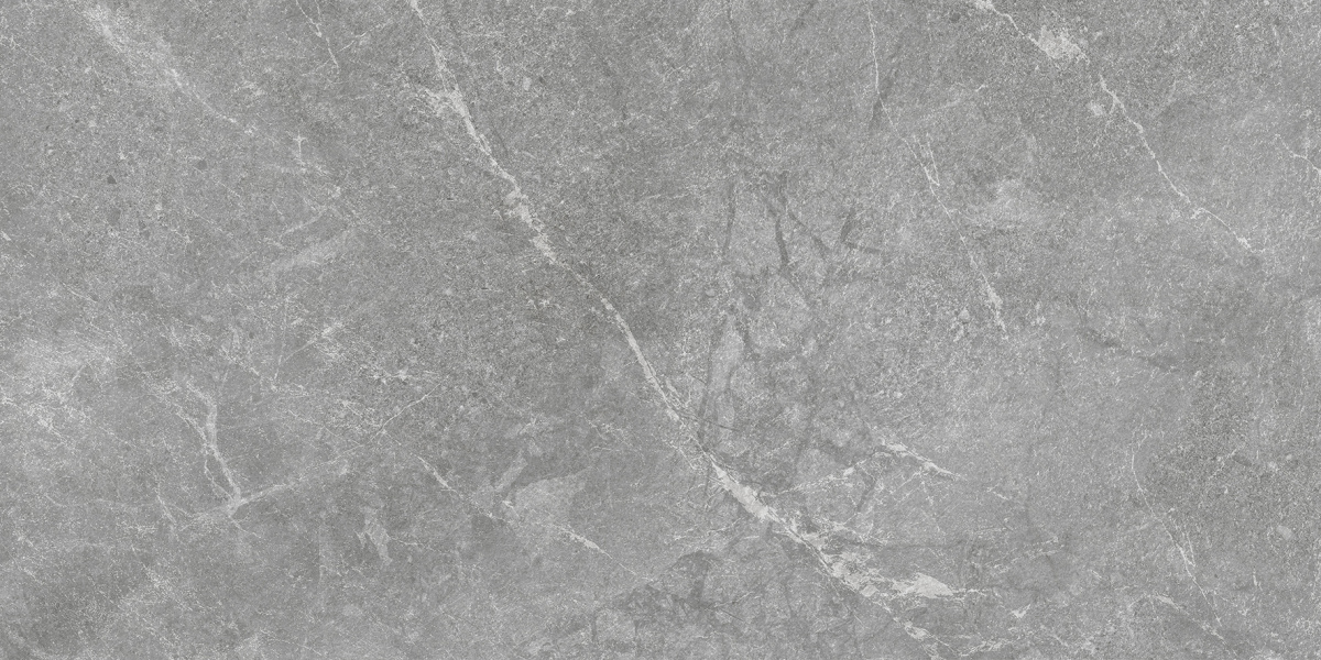 Rocky Grey PRO серый матовый R10GR STR CB 60х120 Laparet