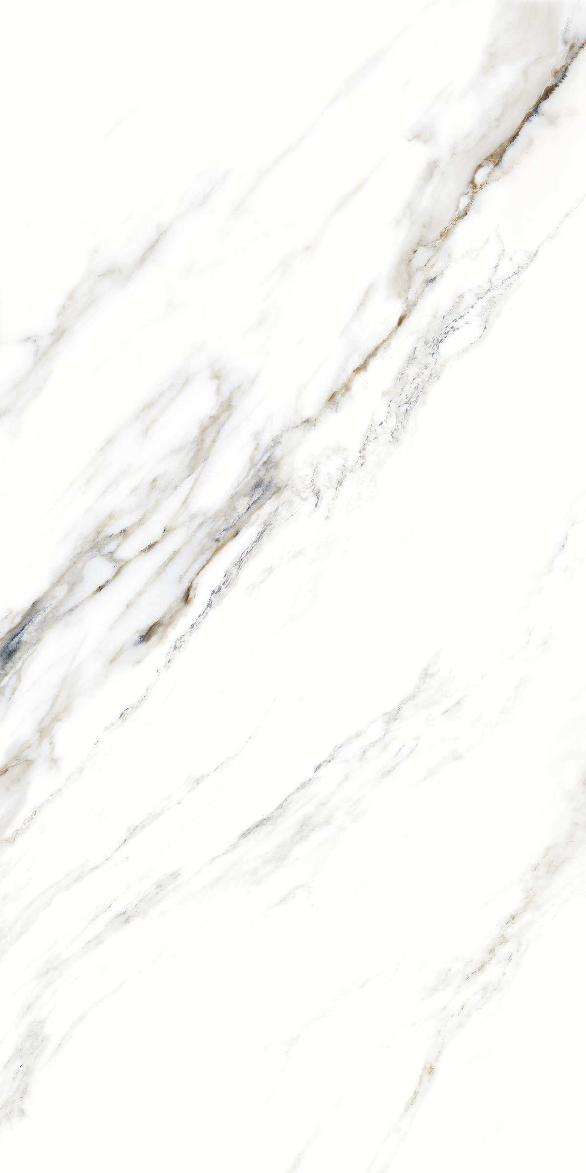 893 Fantastic White 120x60 Artcer