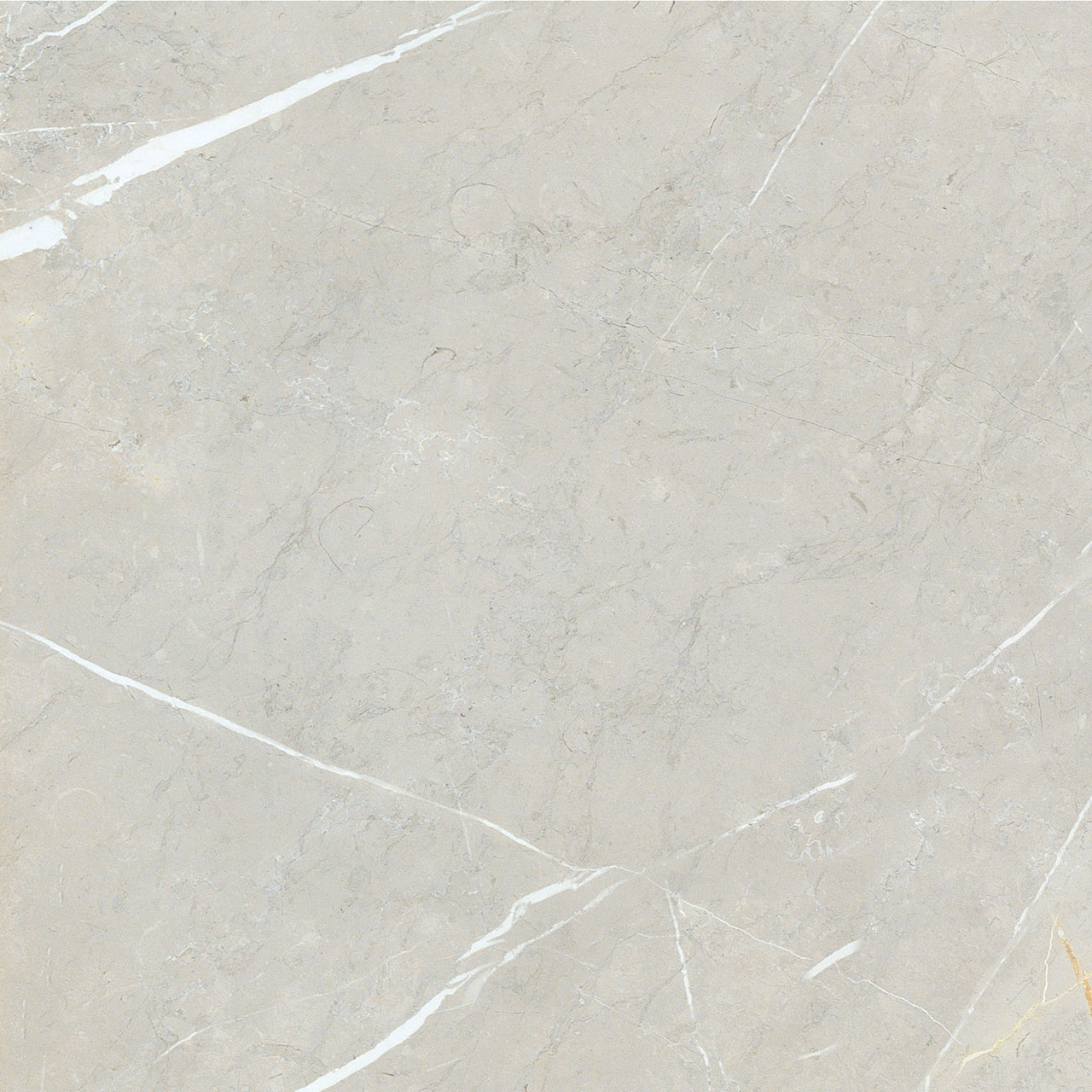 BB6NTT9101P Bright And Shiny 60x60 NT Ceramic